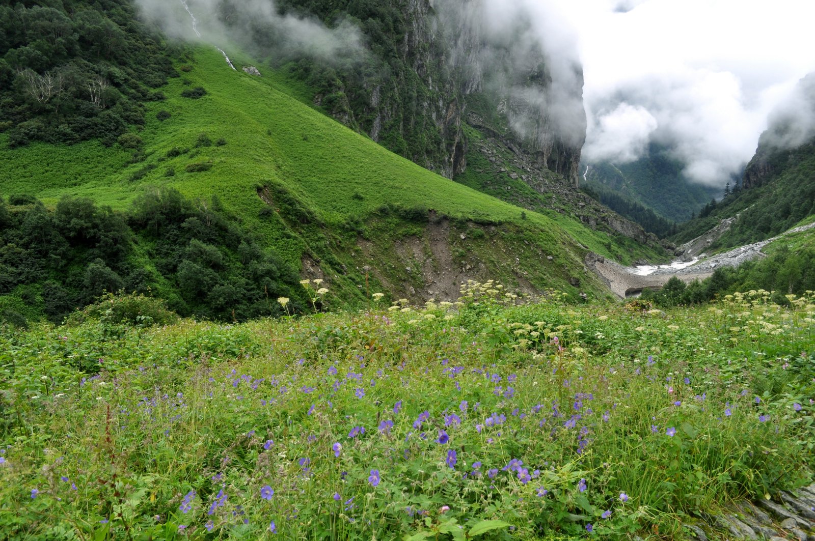 India | Valle de las Flores - Uttarakhand 246443 | Secret World Trip Planner