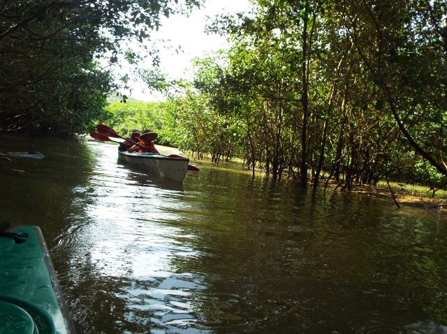Reserva de manglares de Isla Corazón - Bahia de Caraquez | Secret World Trip Planner