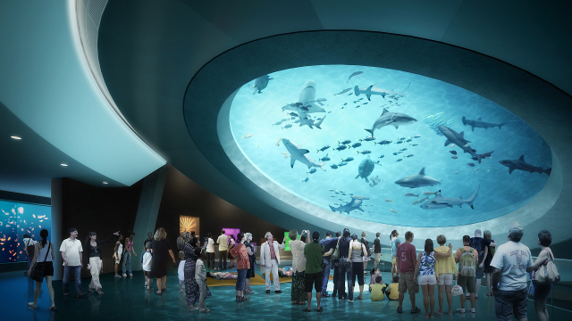 Museo de la Ciencia Phillip y Patricia Frost - Miami | Secret World Trip Planner