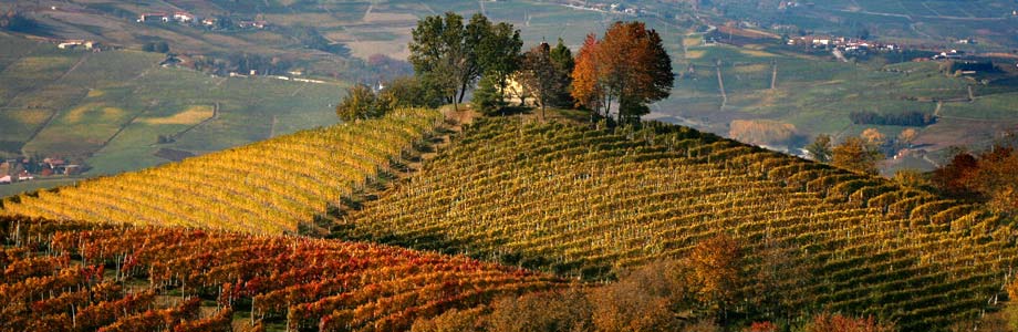 Barolo y su vino - Barolo | Secret World Trip Planner