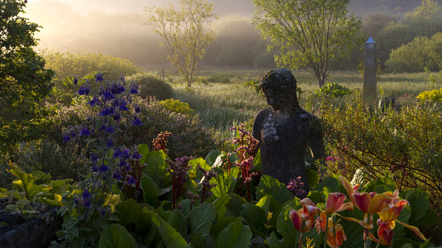 Dyffryn Fernant Garden - Una gema escondida en Pembrokshire — Fishguard SA65 9SP