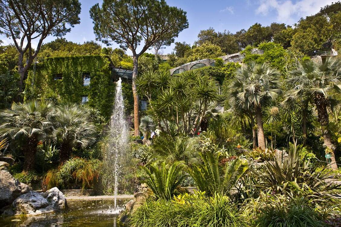 Ischia: La Mortella (El Mirto) y Sir William Walton - Forio | Secret World Trip Planner