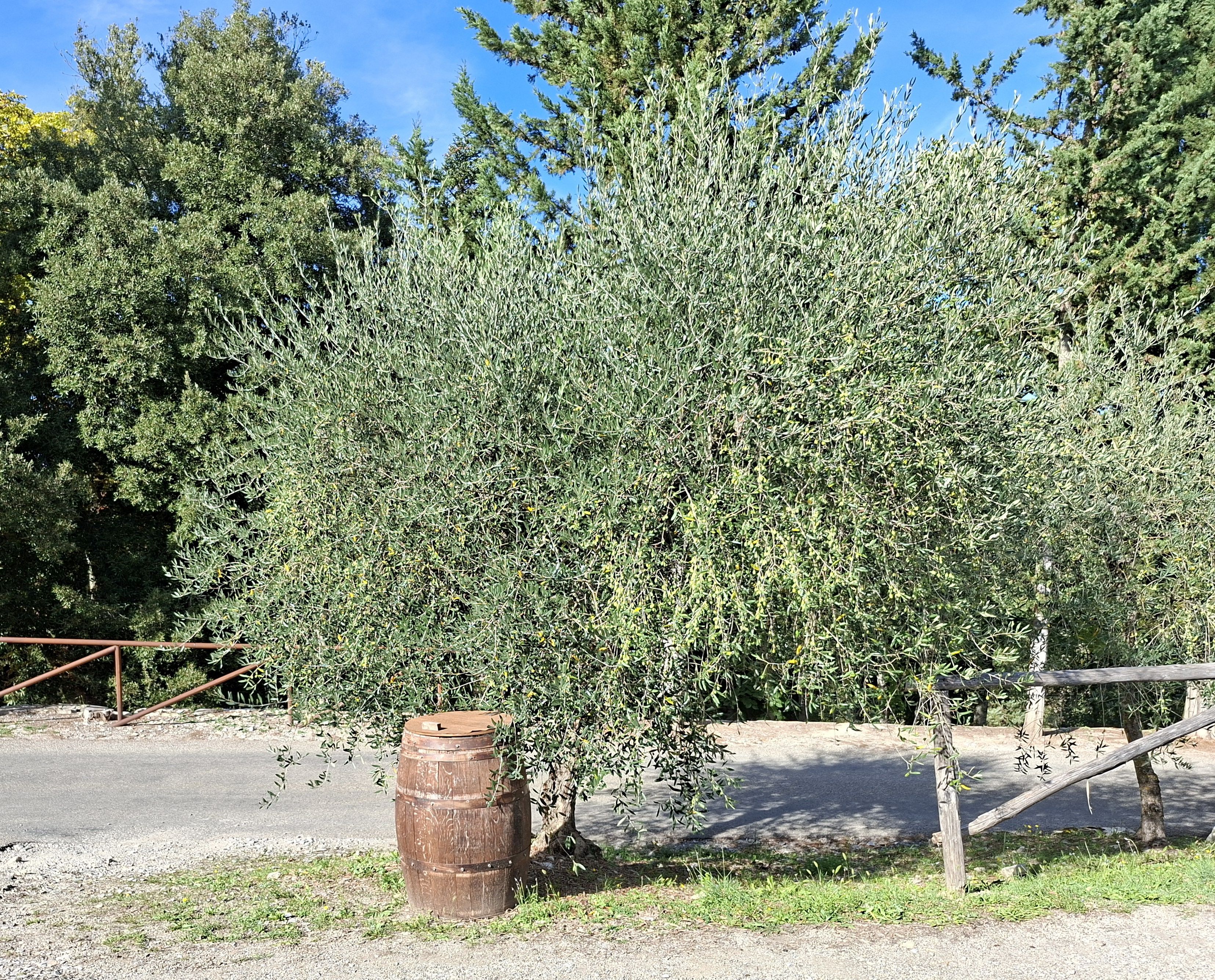 Teater af slottet Meleto - Gaiole In Chianti | Secret World Trip Planner
