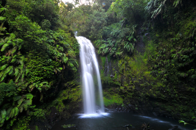 Réserve naturelle de Lokobe - Ampasipohy | Secret World Trip Planner