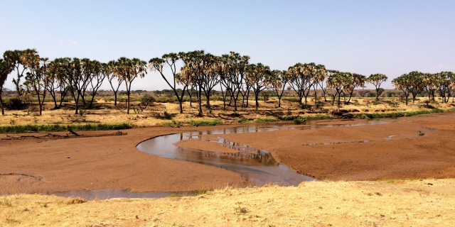From Forests to Deserts: The Rust-Colored Wilderness of Northern Kenya - Monte Kenya | Secret World Trip Planner