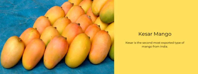 Reine des mangues, Kesar — Lucknow