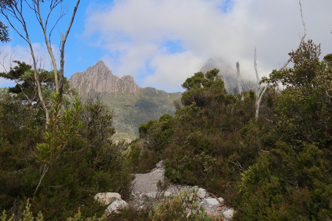 Cradle Mountain la puerta de la pista de Overland - Cradle Mountain | Secret World Trip Planner