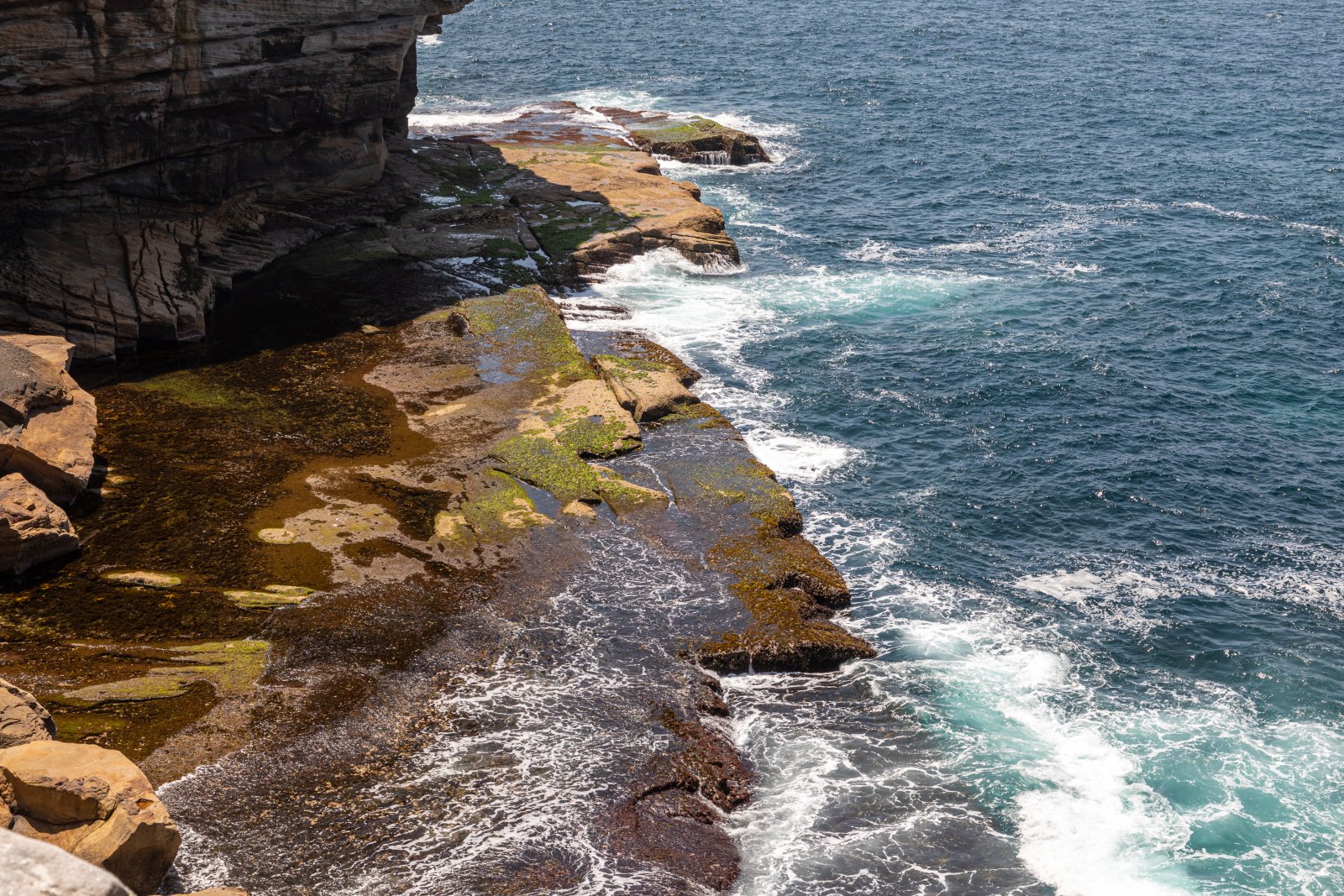 The Federation Cliff Walk - Watsons Bay | Secret World Trip Planner