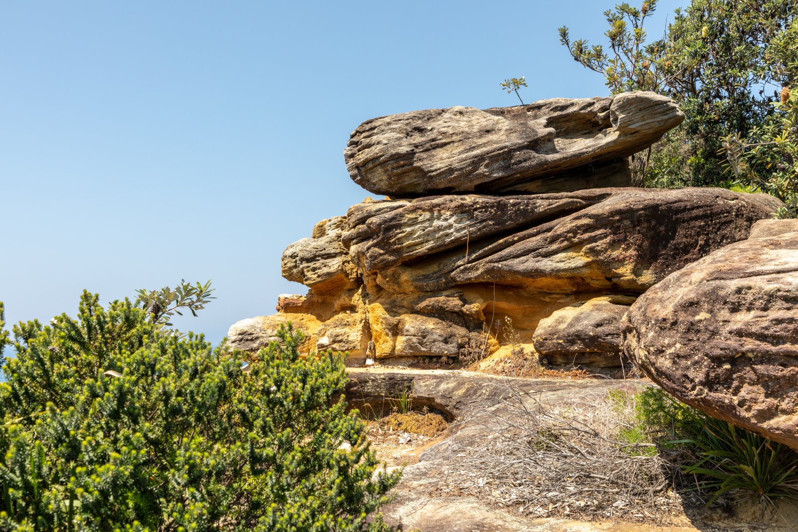 The Federation Cliff Walk - Watsons Bay | Secret World Trip Planner