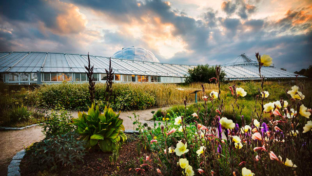 Botanisk Have (Giardino botanico) - Aarhus | Secret World Trip Planner