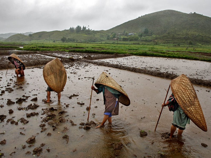பூமியில் மிகவும் ஈரமான இடம்: மூன்லேண்ட் - Mawsynram | Secret World Trip Planner