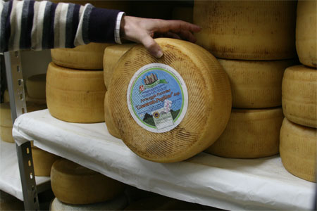 Apulian Canestrato - Altamura | Secret World Trip Planner