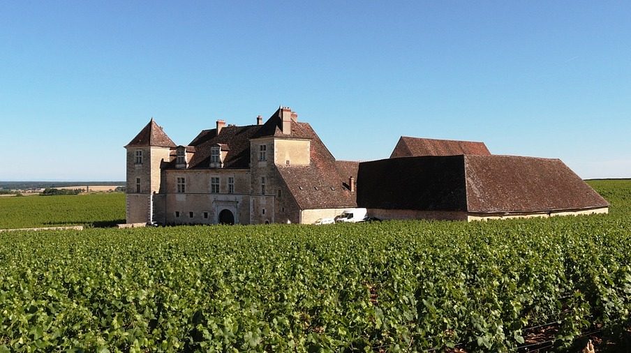 Los viñedos de Cote d'or - Nuits-Saint-Georges | Secret World Trip Planner