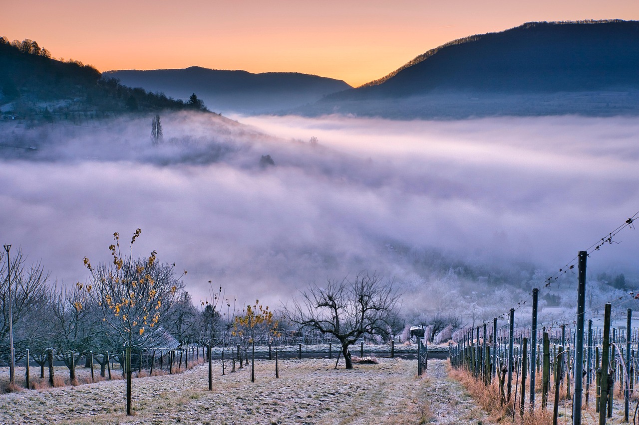 Los viñedos de Cote d'or - Nuits-Saint-Georges | Secret World Trip Planner