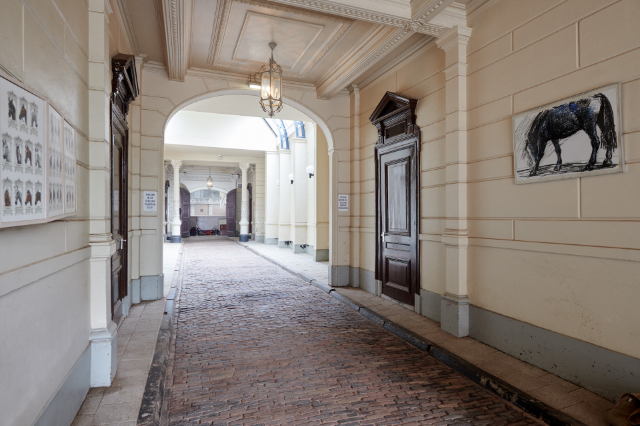 Hollandsk rideskole - Amsterdam | Secret World Trip Planner