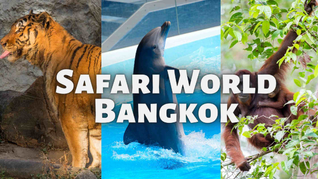 Safari svet Bangkok - Khet Khlong Sam Wa | Secret World Trip Planner