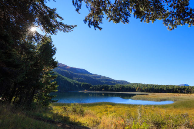 Reserva Nacional de Coyhaique - Coyhaique | Secret World Trip Planner
