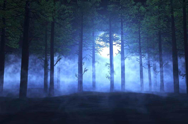 Aleya luces fantasma - খুলনা | Secret World Trip Planner