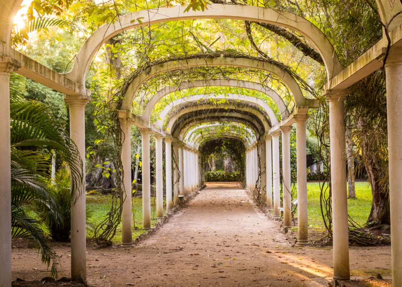 植物園、リオデジャネイロ - Jardim Botânico | Secret World Trip Planner