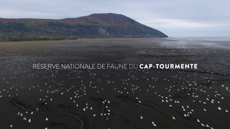 Área Nacional de Vida Silvestre de Cap Tourmente - Saint-Joachim | Secret World Trip Planner