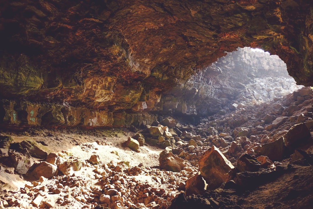 Cova de Chauvet - Pont d'arc-una obra mestra de l'art prehistòric. - Vallon-Pont-d'Arc | Secret World Trip Planner