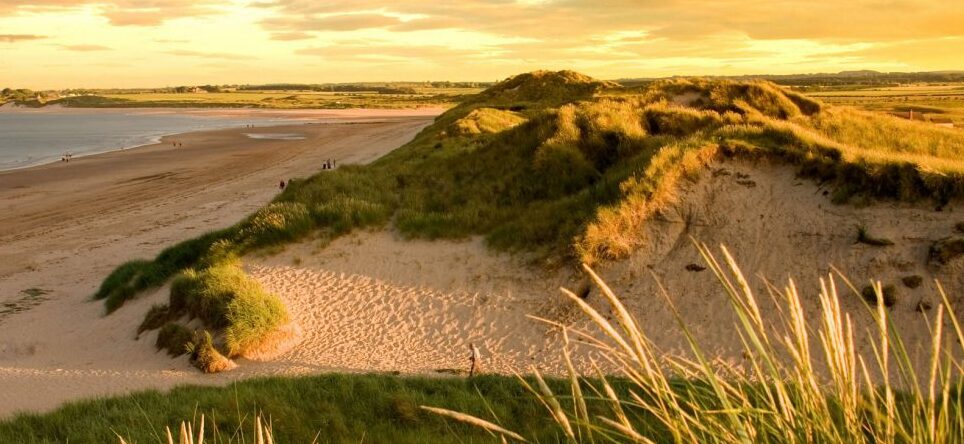 Beadnell Beach has the shape of a horseshoe — Beadnell