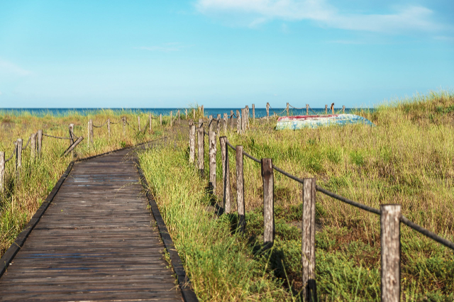 WWF Policoro Vahasını Keşfetmek - 1 | Secret World Trip Planner