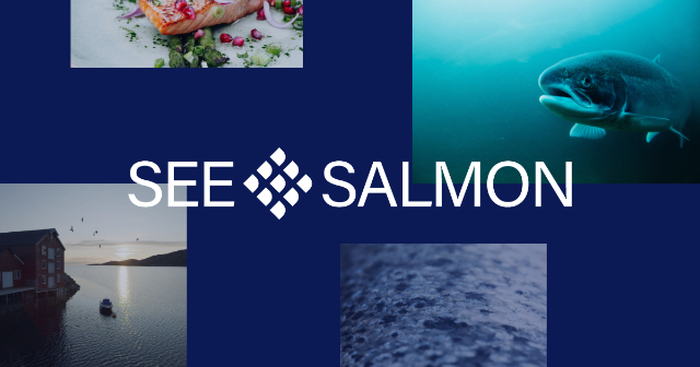 ZobaczSalmon - Brattørkaia 17a | Secret World Trip Planner