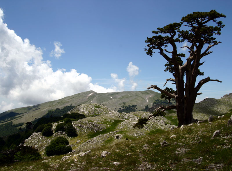 Công viên Pollino - Terranova di Pollino | Secret World Trip Planner