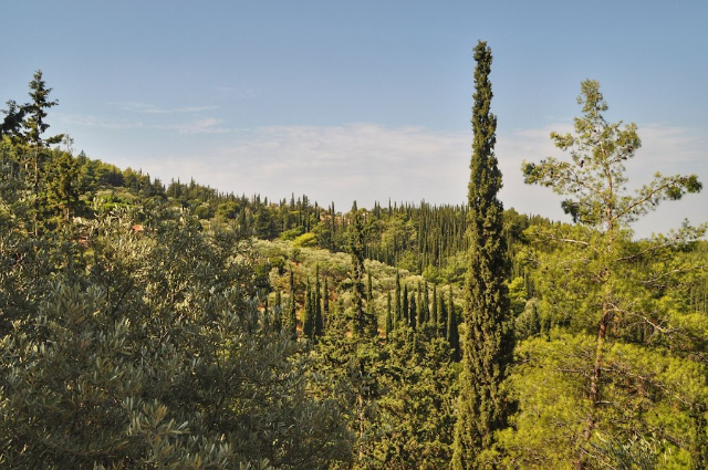 Monastero e foresta di Kaisariani, - greece greece | Secret World Trip Planner