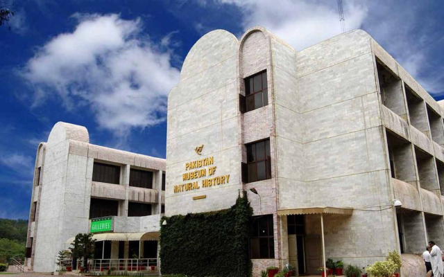 Le musée d'histoire naturelle du Pakistan (PMNH) - Islamabad | Secret World Trip Planner