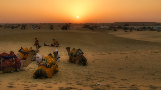乔里斯坦沙漠 - Cholistan Desert | Secret World Trip Planner