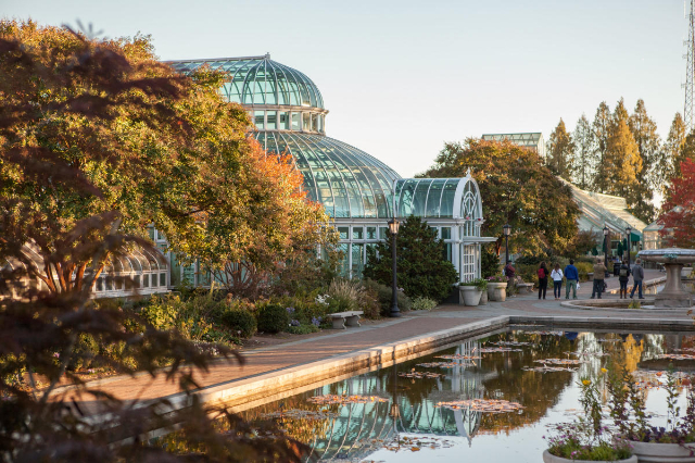 Jardin botanique de Brooklyn — Brooklyn