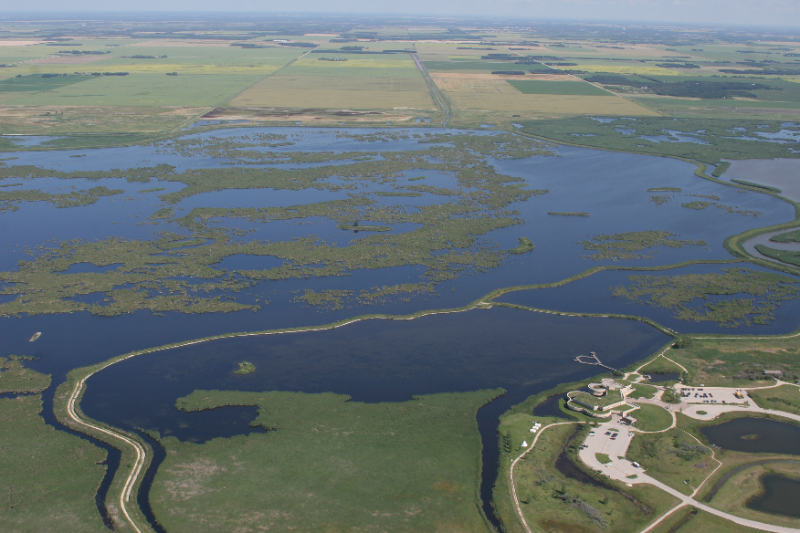 Best Bird-Watching in Manitoba - Rockwood | Secret World Trip Planner