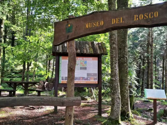 Museet i Woodland - Lago delle Lame | Secret World Trip Planner