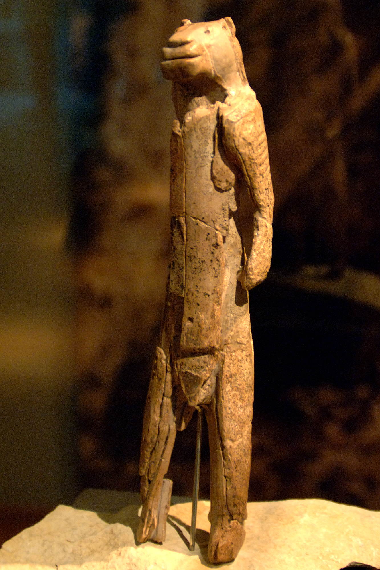 La figura del hombre león — Ulm