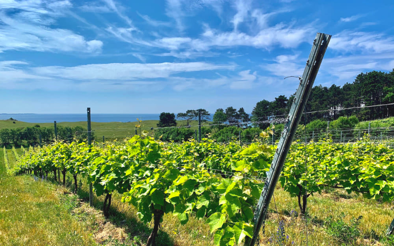 Røsnæs, and the Denmark’s Wine — Kalundborg
