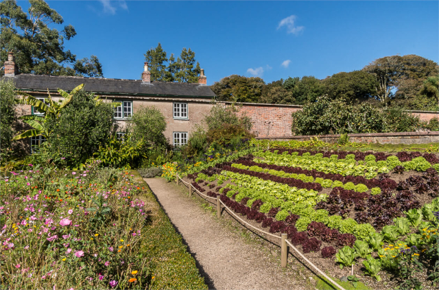 Jardines de Trengwainton - Madron | Secret World Trip Planner
