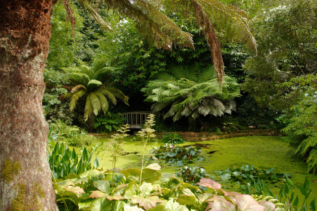 Jardines de Trengwainton - Madron | Secret World Trip Planner