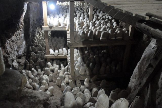pesterile de branza Roquefort - Roquefort-sur-Soulzon | Secret World Trip Planner