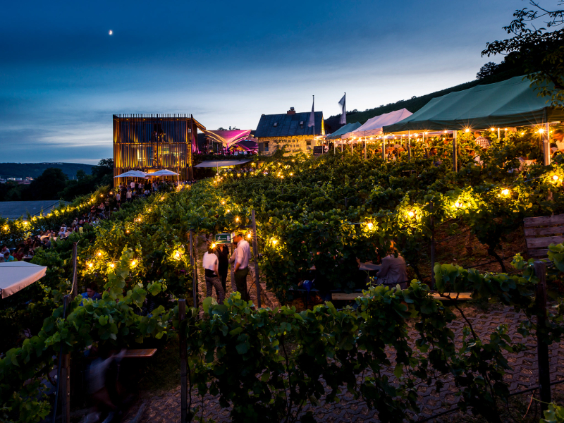 Wurzburg’s Wine Trail — Würzburg