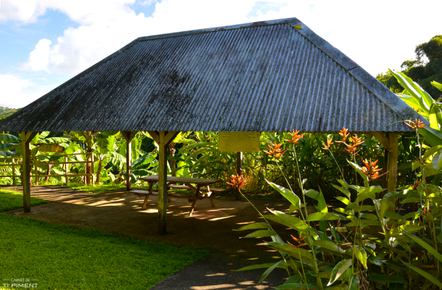 Museo ng Saging (Le Musee de la Banane) - Sainte-Marie | Secret World Trip Planner