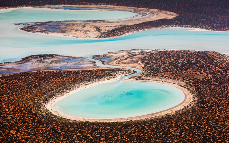Shark Bay, Western Australia - Contea di Shark Bay | Secret World Trip Planner