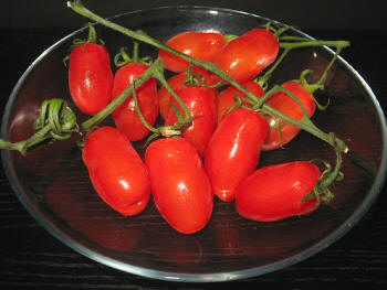 San Marzano - Re Pomodoro  - Sarno | Secret World Trip Planner