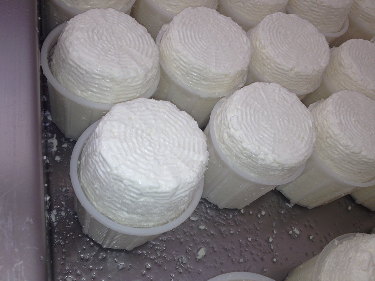 Ricotta di fuscella di Sant'Anastasia - Sant'Anastasia | Secret World Trip Planner