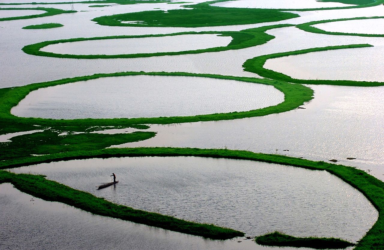 Loktak Lake is the  world’s only floating lake  - Loktak Lake | Secret World Trip Planner