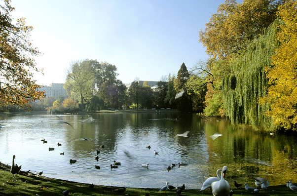Dusseldorf: Hofgarten, a place to relax - Düsseldorf | Secret World Trip Planner