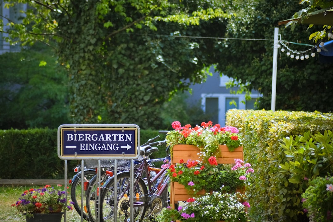 El jardín inglés de Mónaco - München | Secret World Trip Planner