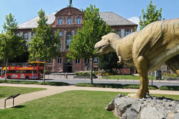 Museo di Storia Naturale di Senckenberg - Frankfurt am Main | Secret World Trip Planner