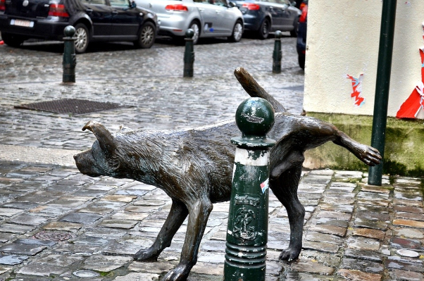 Zinneke Pis - el perro que orina - Bruxelles | Secret World Trip Planner